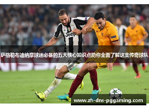 萨格勒布迪纳摩球迷必备的五大核心知识点助你全面了解这支传奇球队 萨格勒布迪纳摩球迷必备的五大核心知识点助你全面了解这支传奇球队