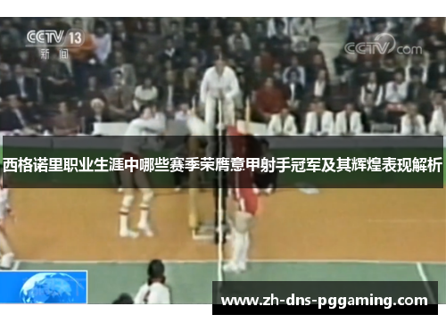 西格诺里职业生涯中哪些赛季荣膺意甲射手冠军及其辉煌表现解析