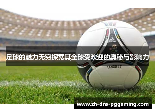 足球的魅力无穷探索其全球受欢迎的奥秘与影响力