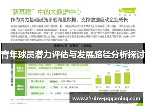 青年球员潜力评估与发展路径分析探讨