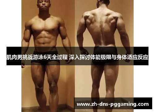 肌肉男挑战游泳6天全过程 深入探讨体能极限与身体适应反应 肌肉男挑战游泳6天全过程 深入探讨体能极限与身体适应反应