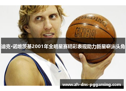 迪克·诺维茨基2001年全明星赛精彩表现助力新星崭露头角