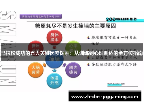 马拉松成功的五大关键因素探索：从训练到心理调适的全方位指南