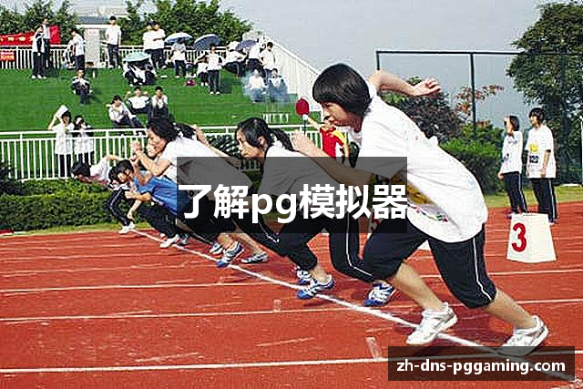 了解pg模拟器